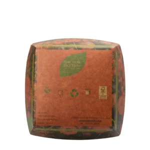 PABAN002PC-BANDEJA-QUADRADO-CARTAO-FRUTAS-TAMANHO-G-110x110mm-4_11zon