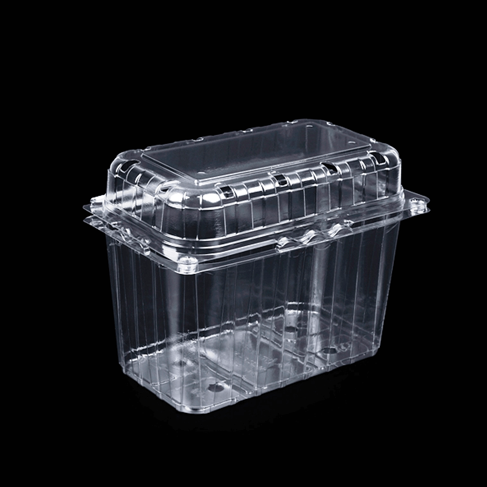 EMBALAGEM EM PET TRANSPARENTE COM TAMPA INCORPORADA 18,8x23,9x9,9CM PARA FRUTA-AAL-016-Copopalhinhas-web-1