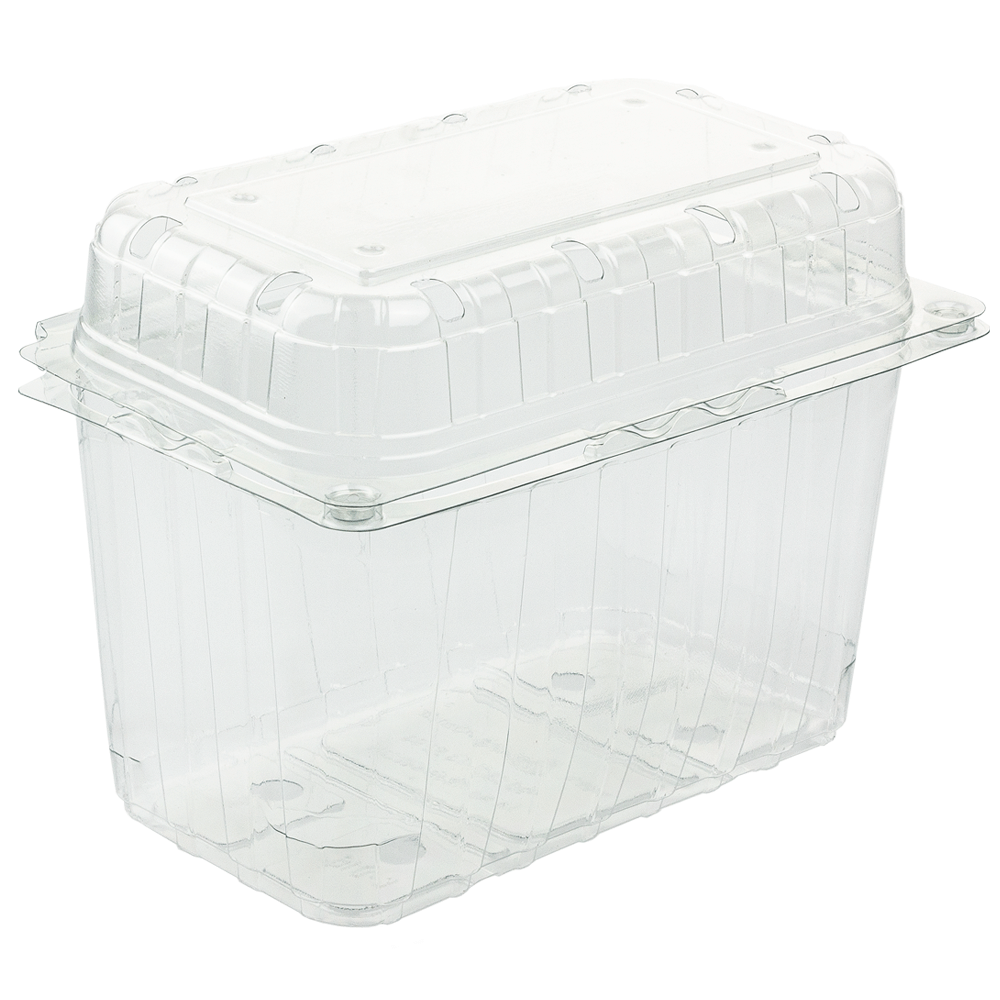 EMBALAGEM EM PET TRANSPARENTE COM TAMPA INCORPORADA 18,8x23,9x9,9CM PARA FRUTA-AAL-016-Copopalhinhas-web-2