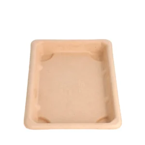 Detalhe da caixa em bagaço natural 16,5x11,5x1,5 cm com tampa OPS para sushi Copopalhinhas feita com materiais amigos do ambiente