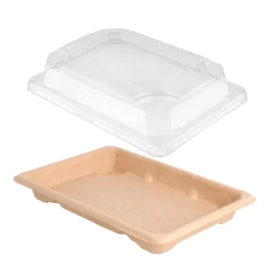 Caixa em bagaço natural 16,5x11,5x1,5 cm com tampa OPS para sushi reutilizável e ecológica da Copopalhinhas
